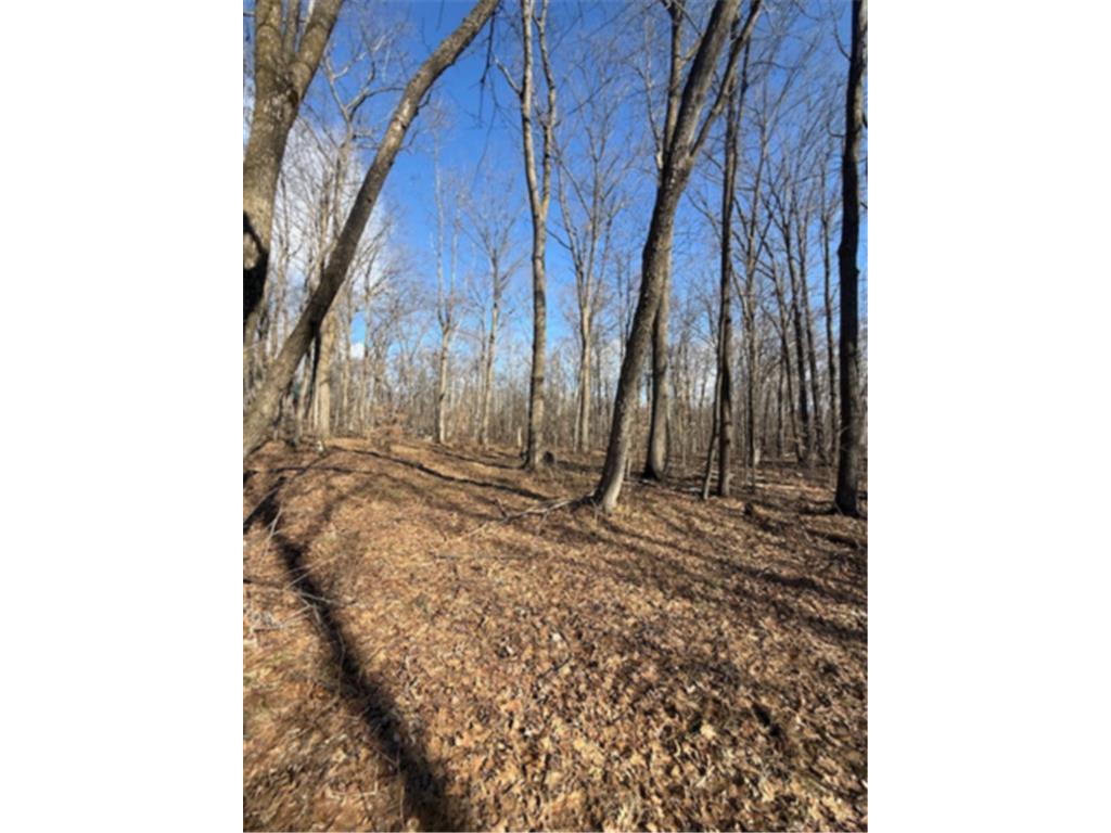 TBD Woodchuck Trail Cushing Twp MN 56443 7047199 image7