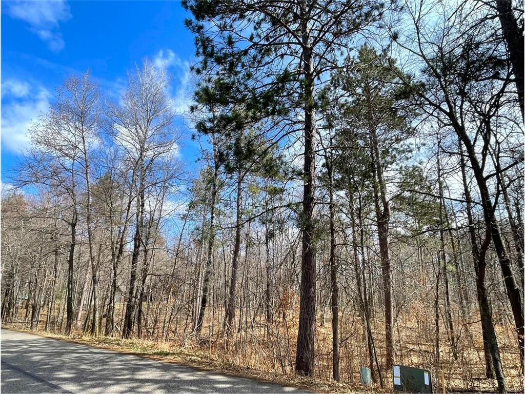 TBD Wooddale Road Nisswa MN 56468 6709314 image1