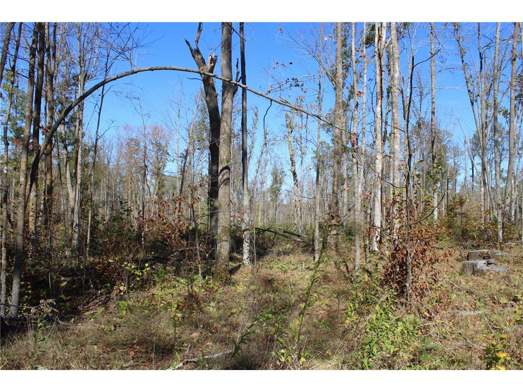 TBD Woods Road Isle MN 56342 6801249 image10