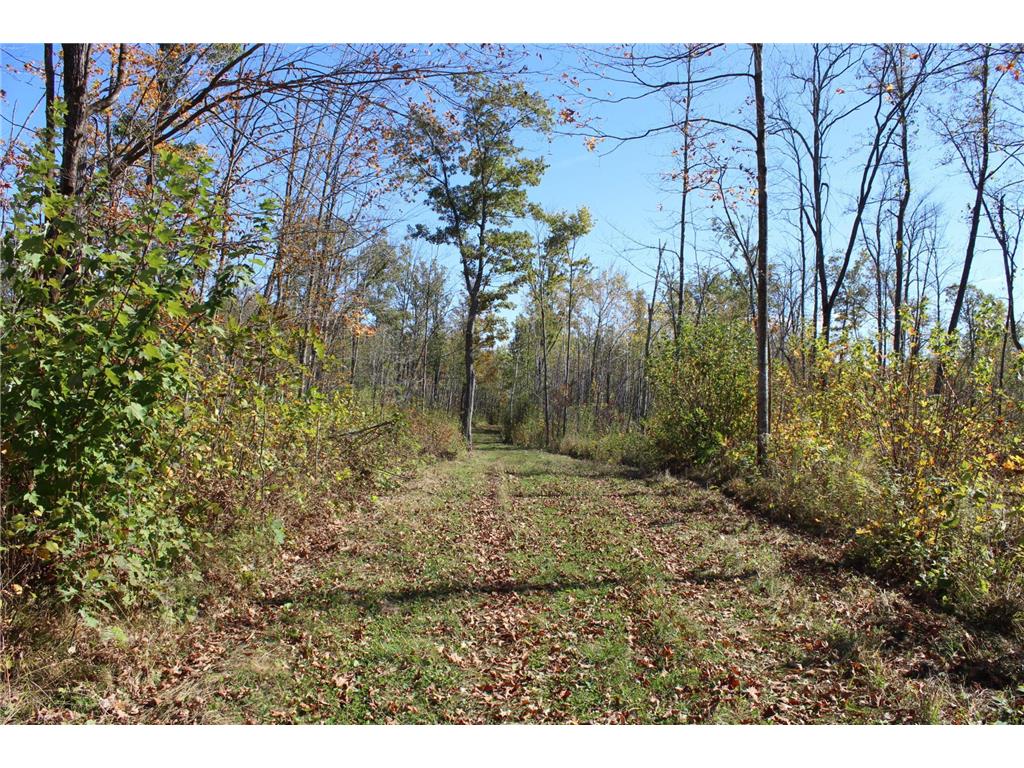 TBD Woods Road Isle MN 56342 6801249 image11