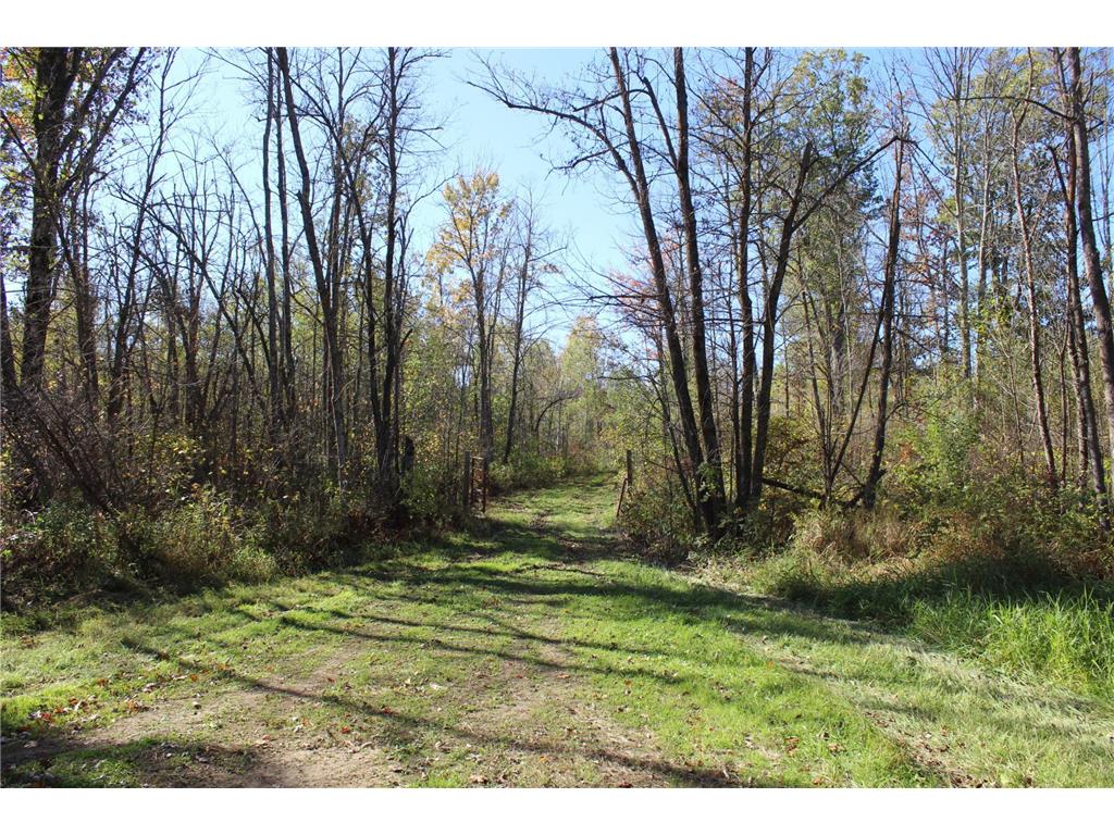 TBD Woods Road Isle MN 56342 6801249 image16