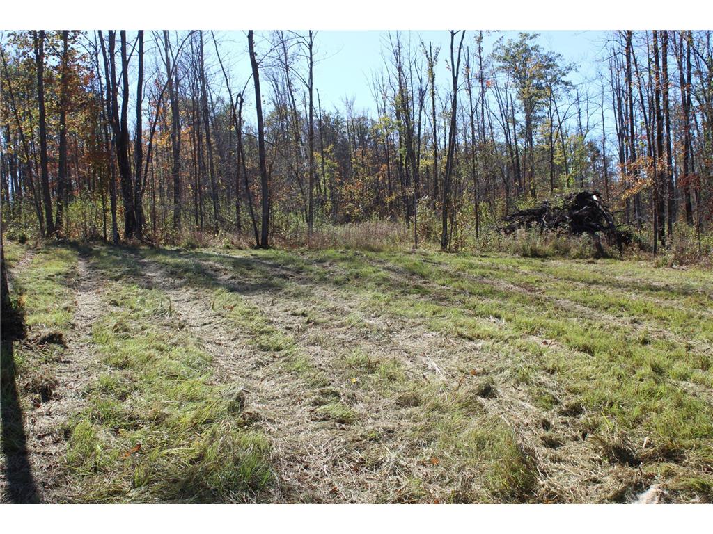 TBD Woods Road Isle MN 56342 6801249 image17