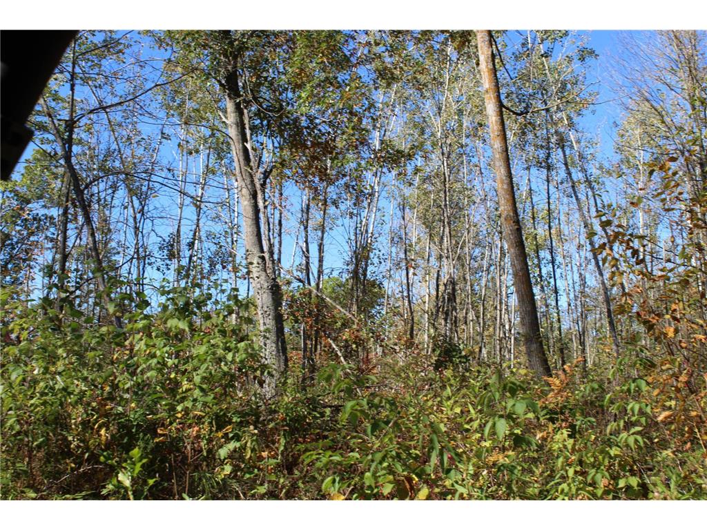 TBD Woods Road Isle MN 56342 6801249 image18