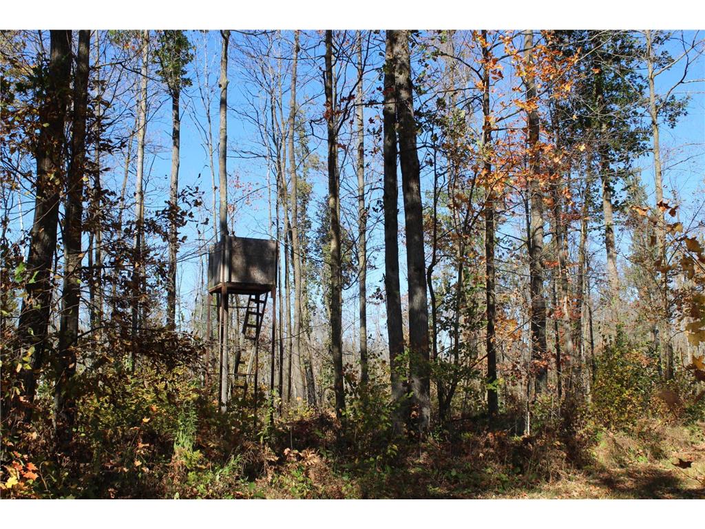 TBD Woods Road Isle MN 56342 6801249 image19