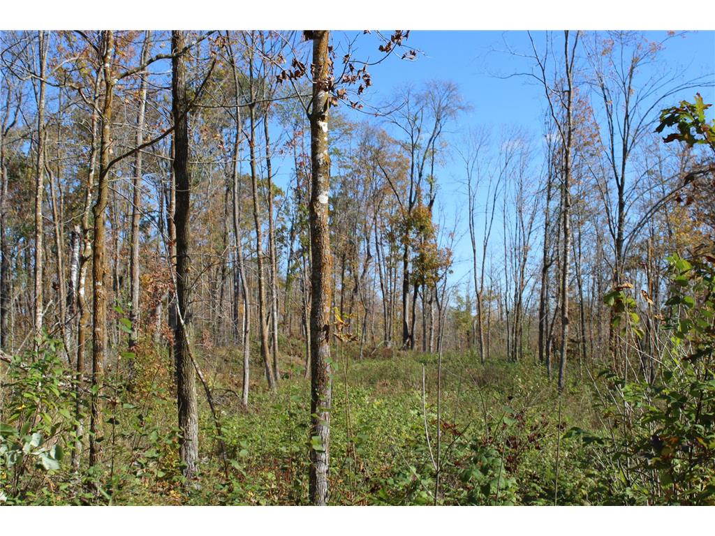 TBD Woods Road Isle MN 56342 6801249 image2