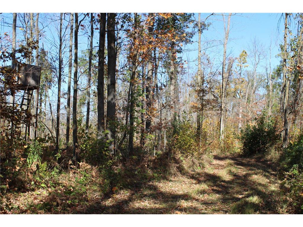 TBD Woods Road Isle MN 56342 6801249 image20