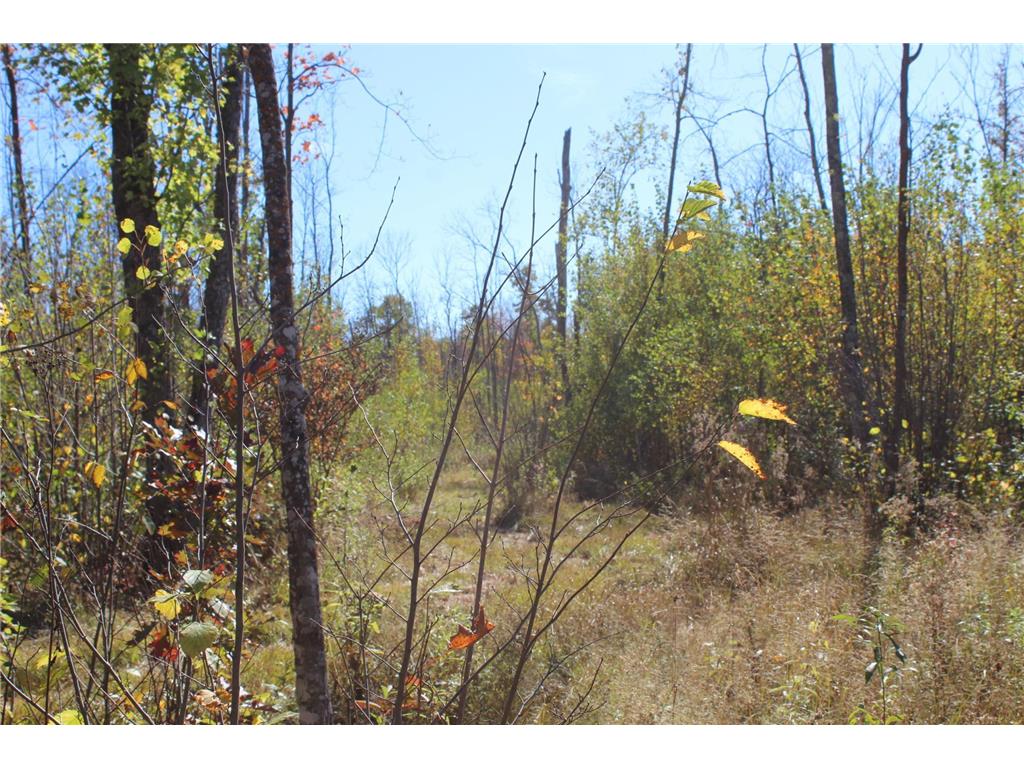 TBD Woods Road Isle MN 56342 6801249 image21