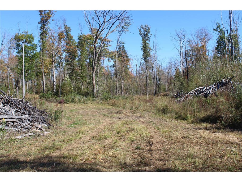 TBD Woods Road Isle MN 56342 6801249 image22