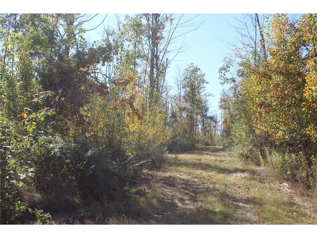TBD Woods Road Isle MN 56342 6801249 image23
