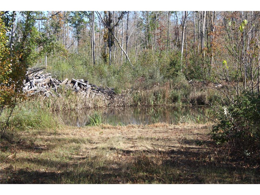 TBD Woods Road Isle MN 56342 6801249 image24