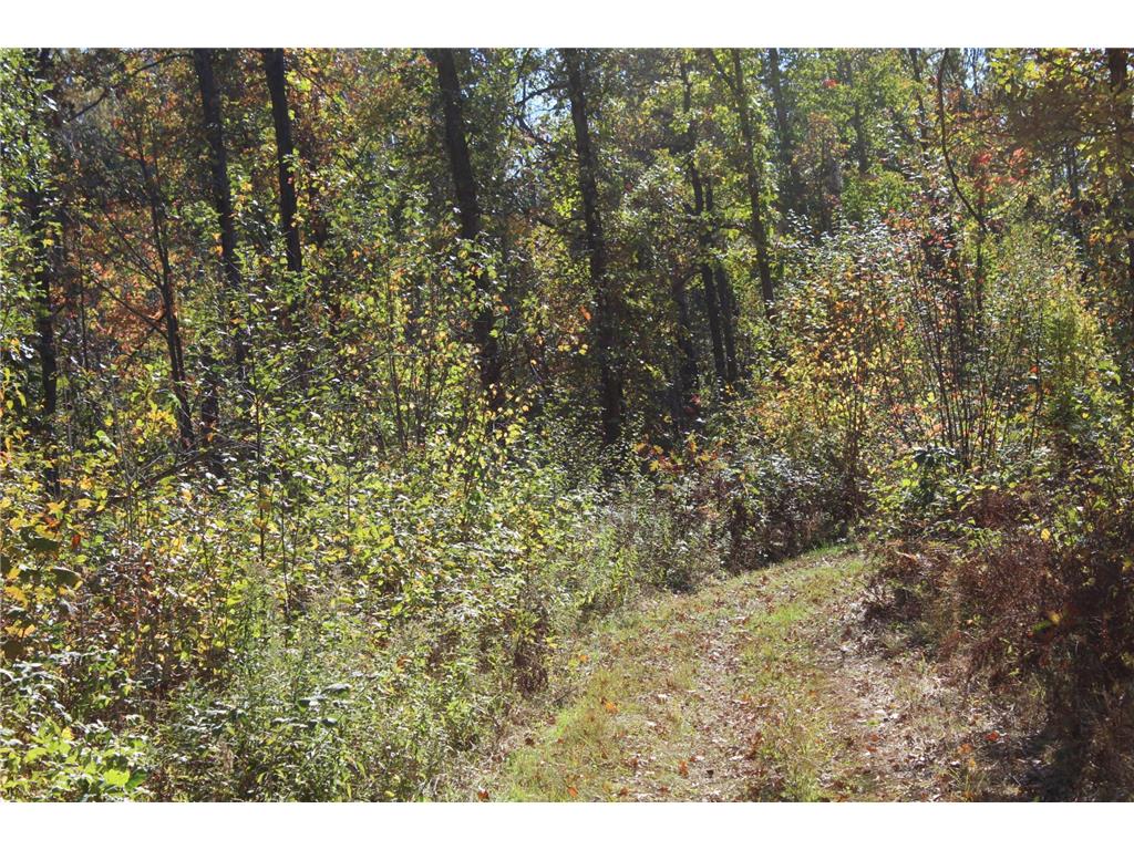 TBD Woods Road Isle MN 56342 6801249 image25