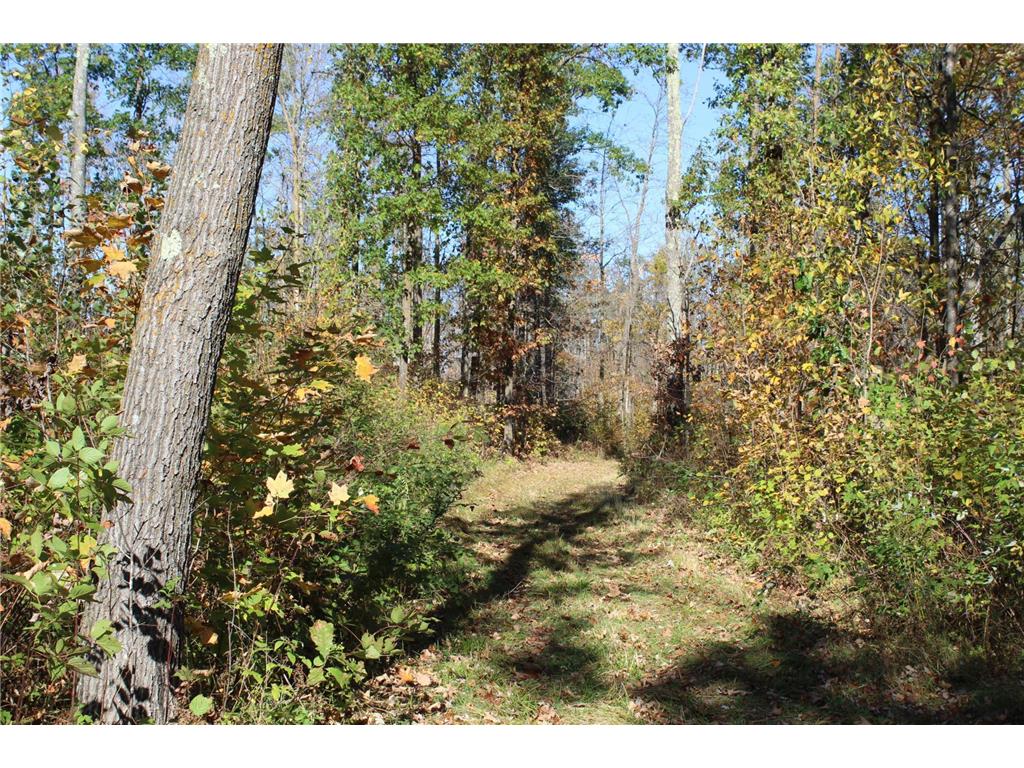 TBD Woods Road Isle MN 56342 6801249 image26