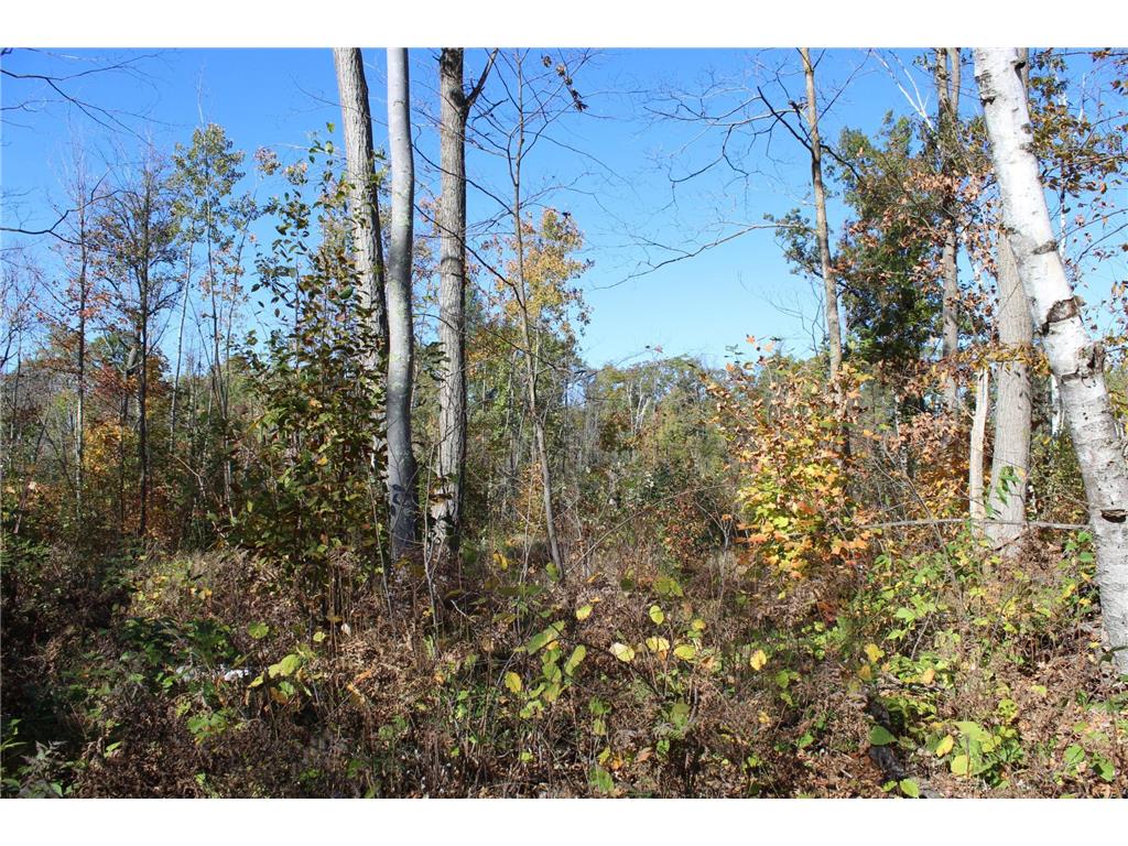 TBD Woods Road Isle MN 56342 6801249 image27