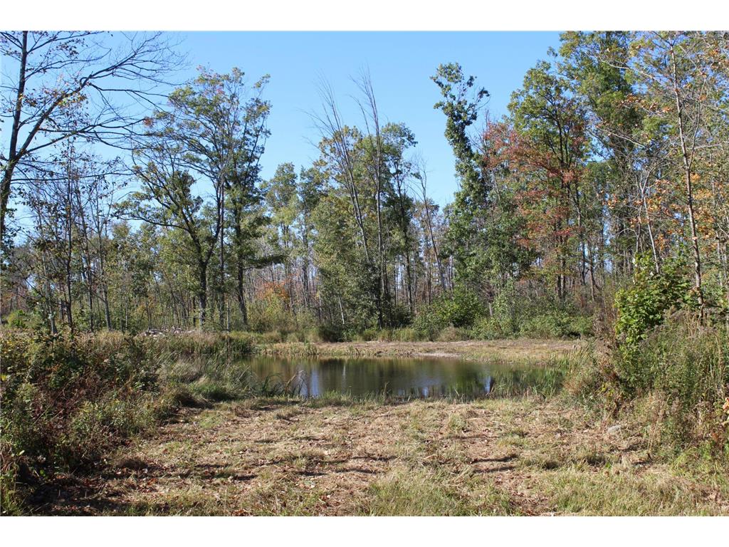 TBD Woods Road Isle MN 56342 6801249 image28