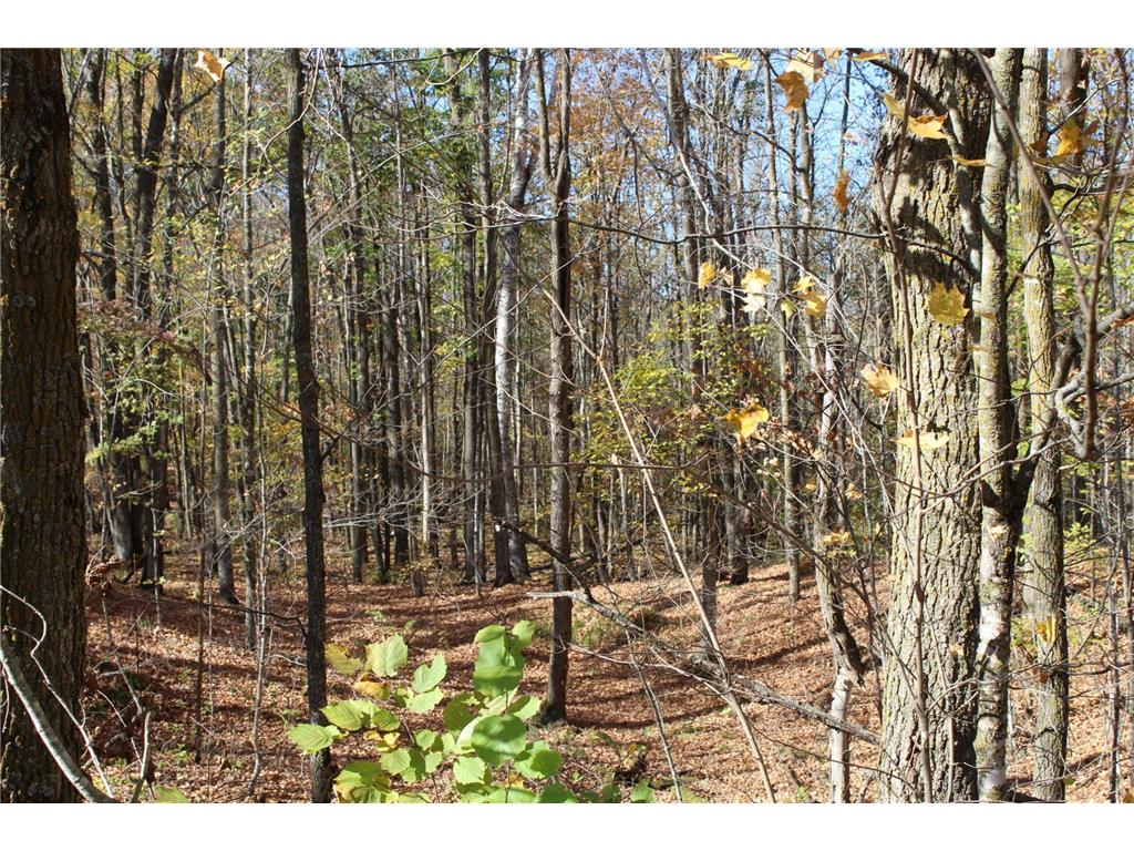 TBD Woods Road Isle MN 56342 6801249 image29