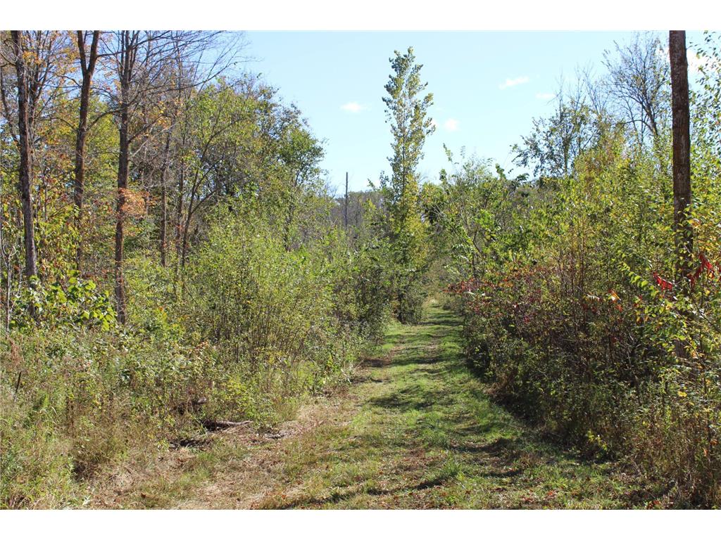 TBD Woods Road Isle MN 56342 6801249 image3