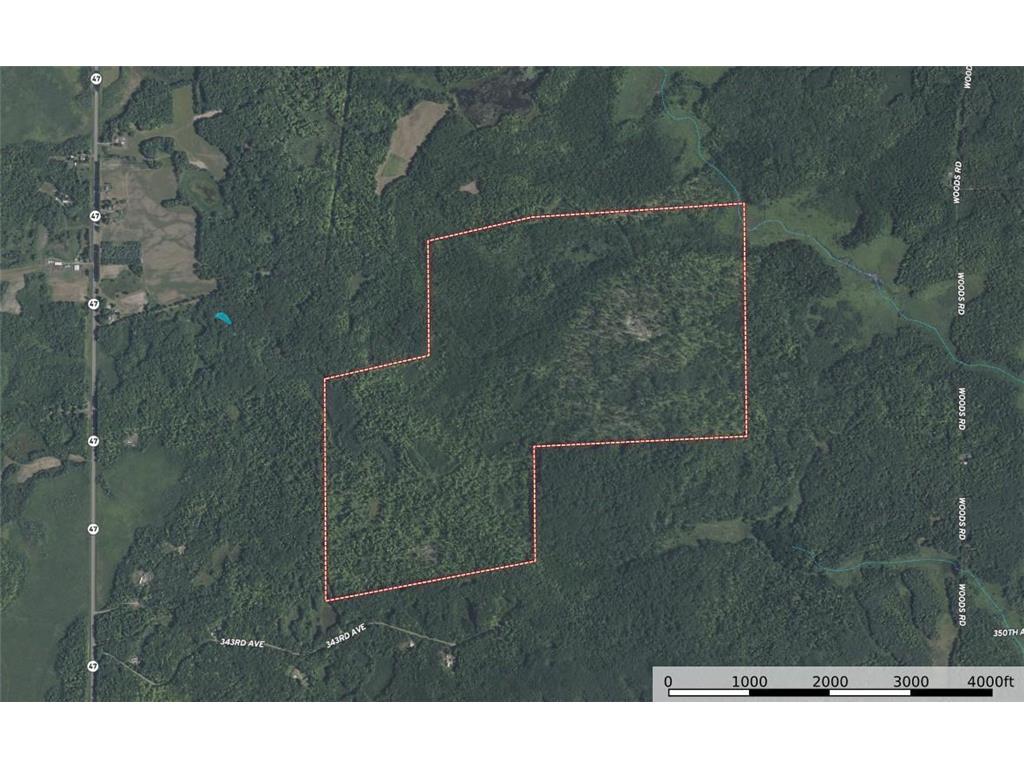 TBD Woods Road Isle MN 56342 6801249 image30