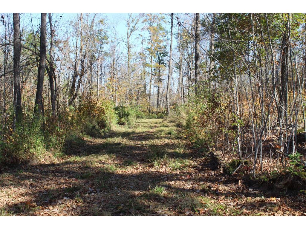 TBD Woods Road Isle MN 56342 6801249 image5