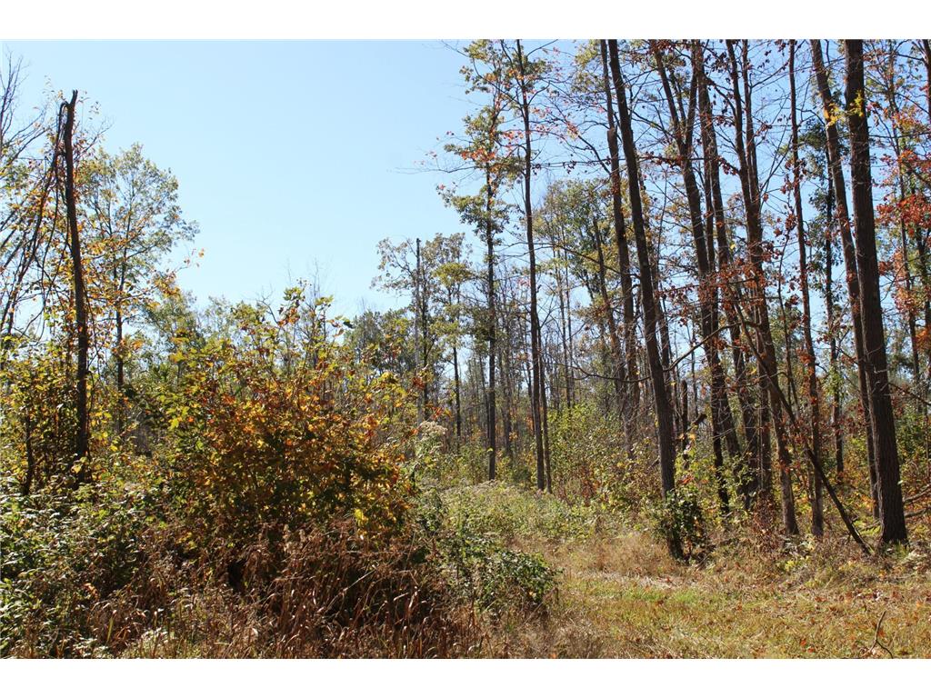 TBD Woods Road Isle MN 56342 6801249 image6