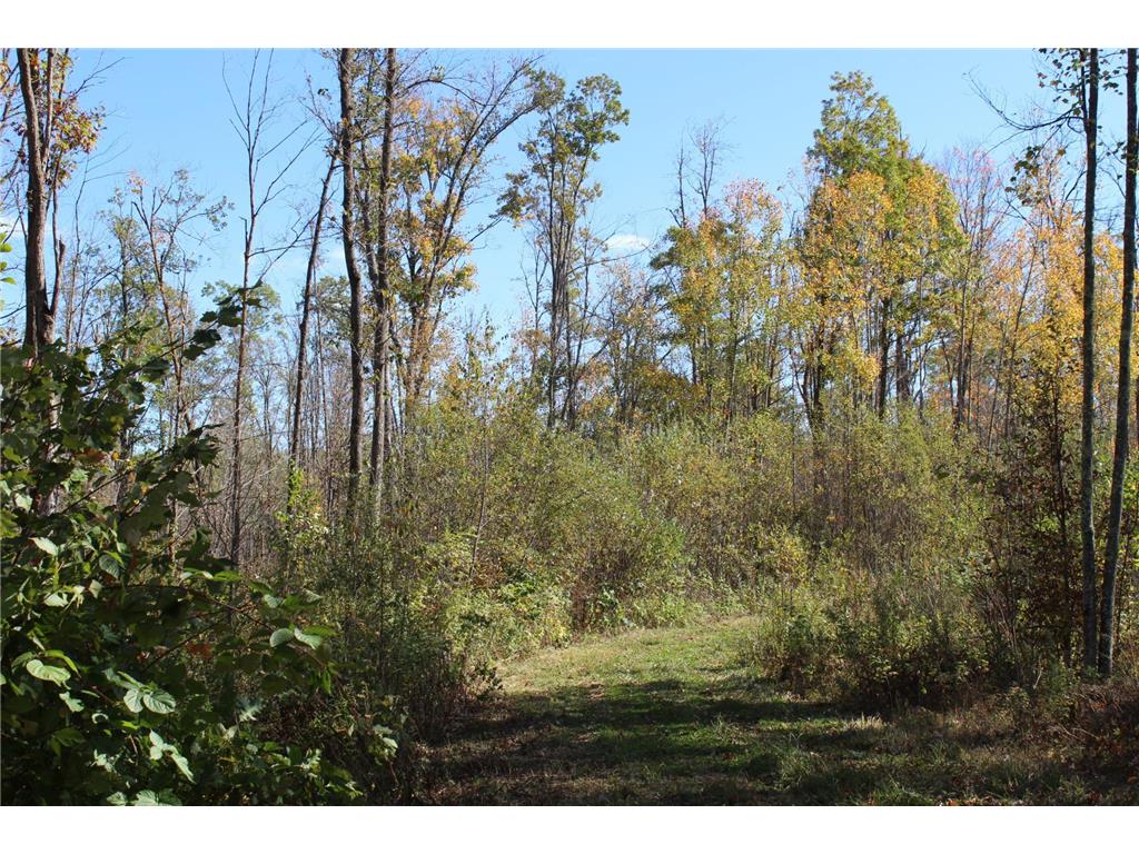 TBD Woods Road Isle MN 56342 6801249 image7