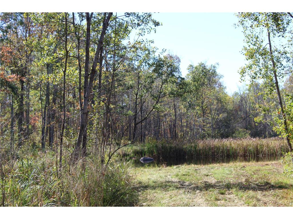 TBD Woods Road Isle MN 56342 6801249 image8