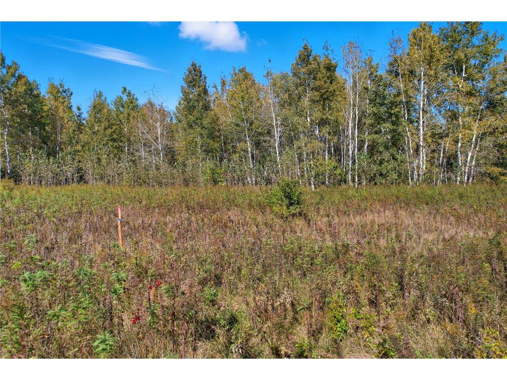 TBD (XXX) Florence Trail Milaca MN 56353 - Rum River 7074992 image12