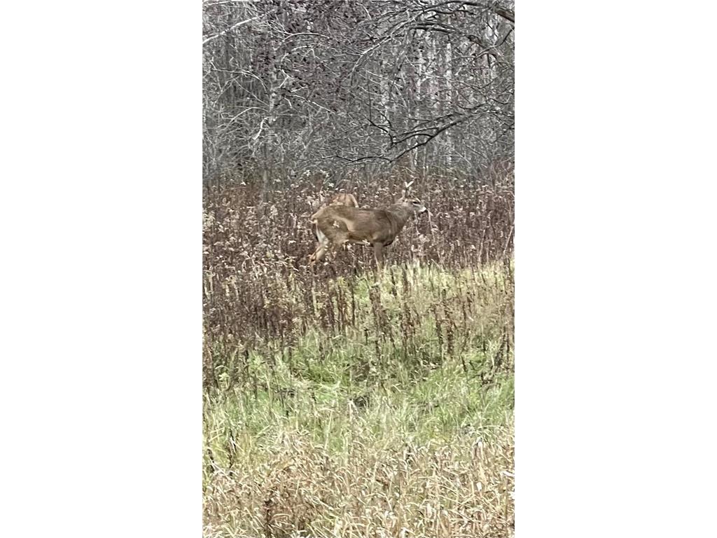 TBD (XXX) Florence Trail Milaca MN 56353 - Rum River 7074992 image19
