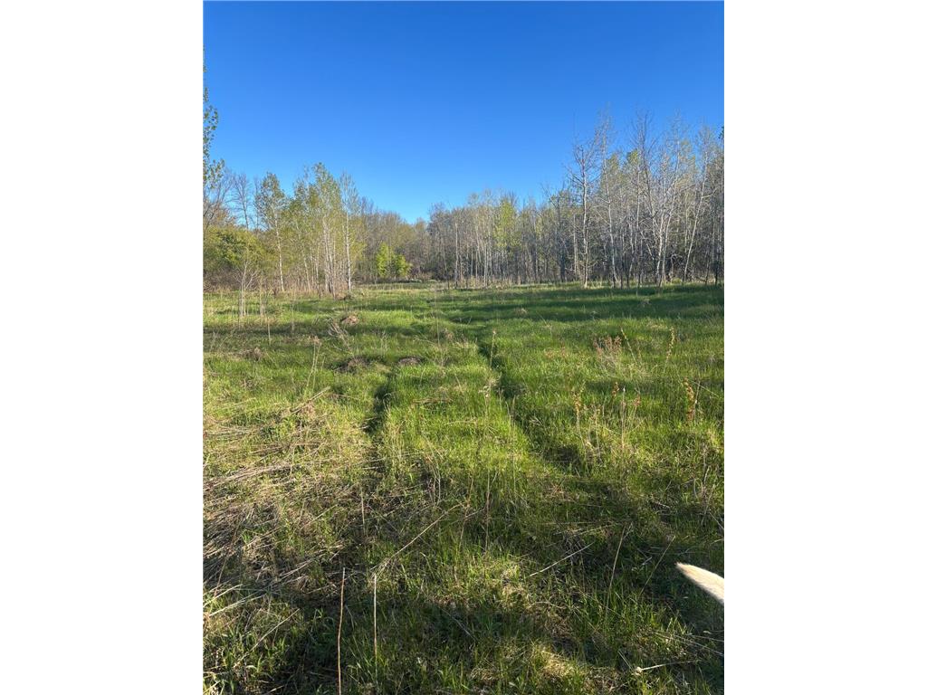 TBD (XXX) Florence Trail Milaca MN 56353 - Rum River 7074992 image20