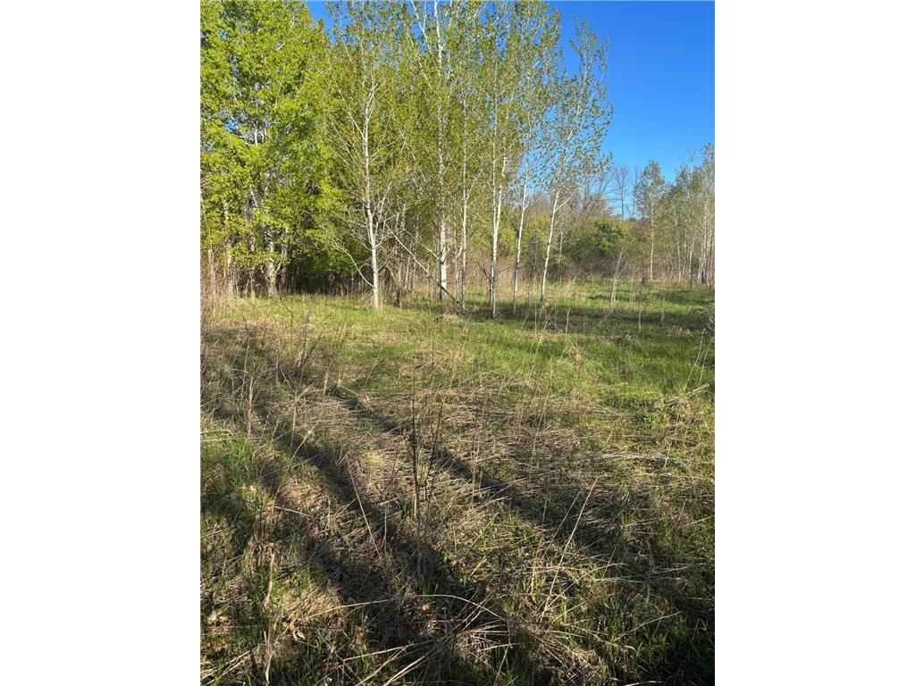 TBD (XXX) Florence Trail Milaca MN 56353 - Rum River 7074992 image21