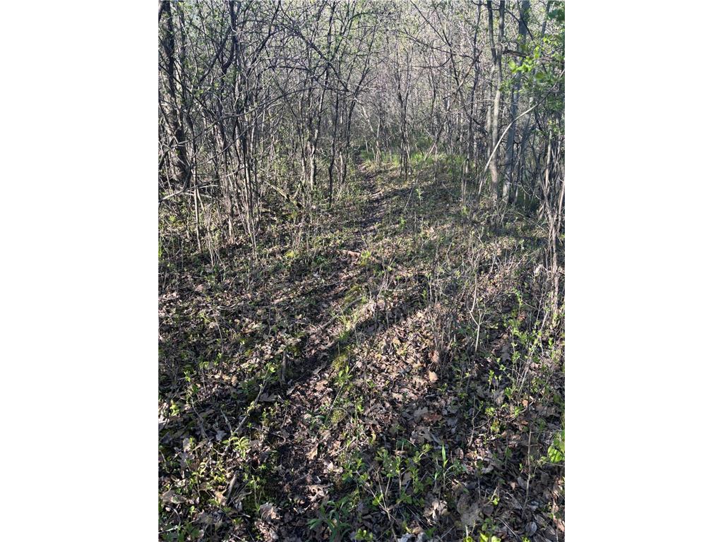 TBD (XXX) Florence Trail Milaca MN 56353 - Rum River 7074992 image24