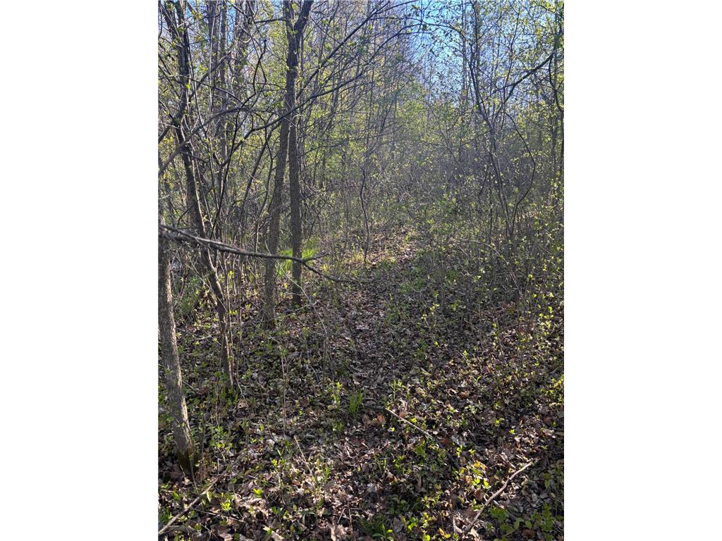 TBD (XXX) Florence Trail Milaca MN 56353 - Rum River 7074992 image25