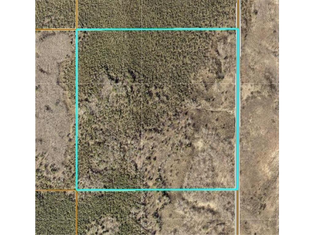 TBD XXX Little Pine Twp MN 56447 6703437 image1