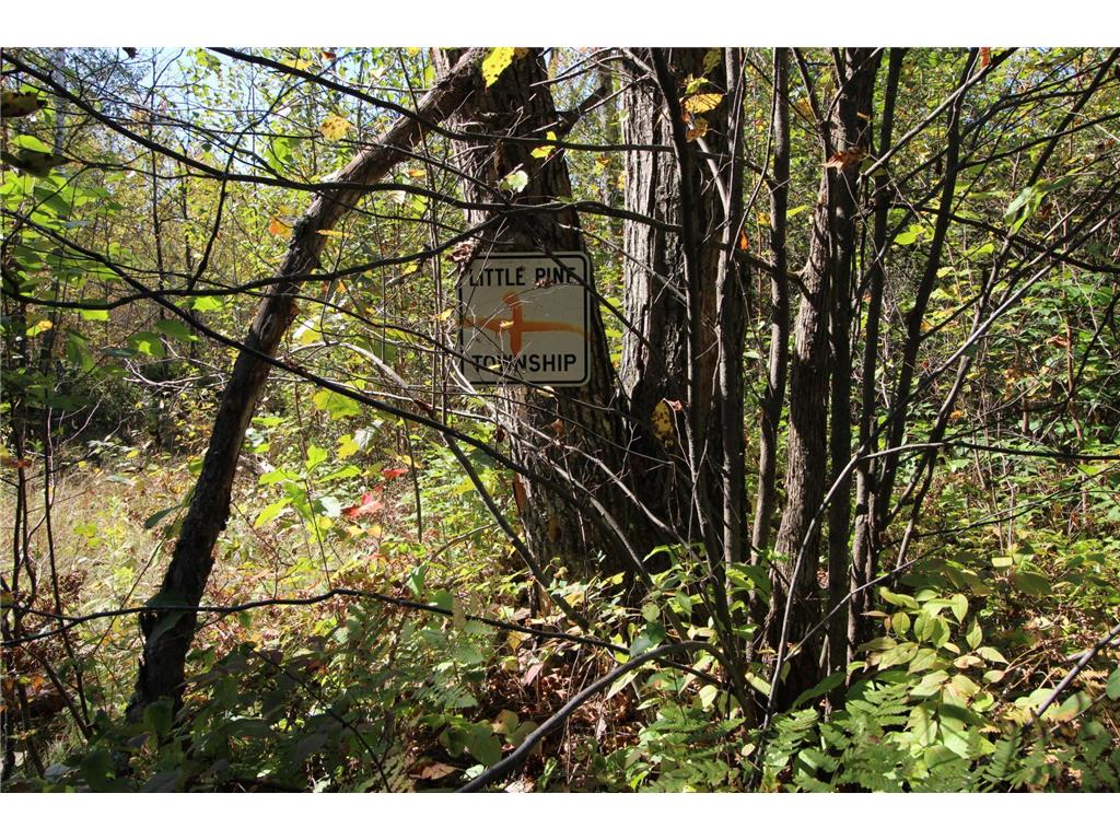 TBD XXX Little Pine Twp MN 56447 6703437 image4