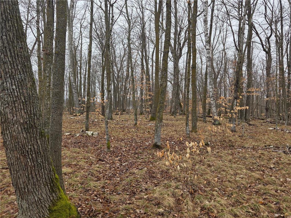 TBD XXX Woodrow Twp MN 56655 - Blackwater 7055429 image1