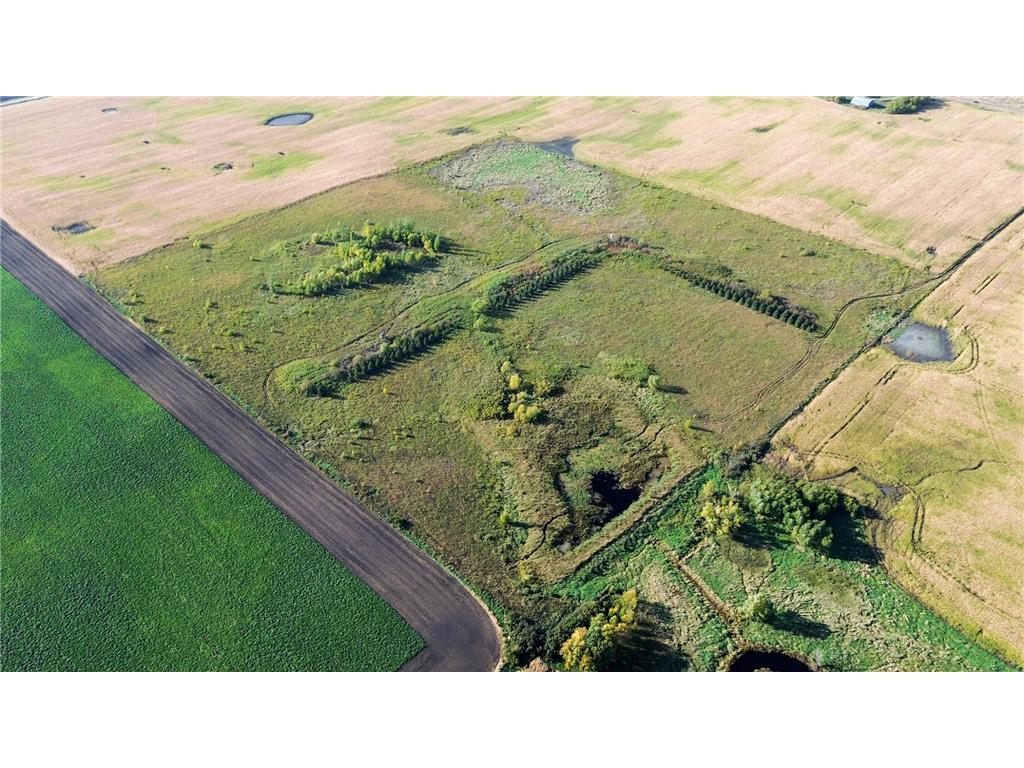 TBD (XXX1) CSAH 22 Cosmos MN 56228 6797486 image2