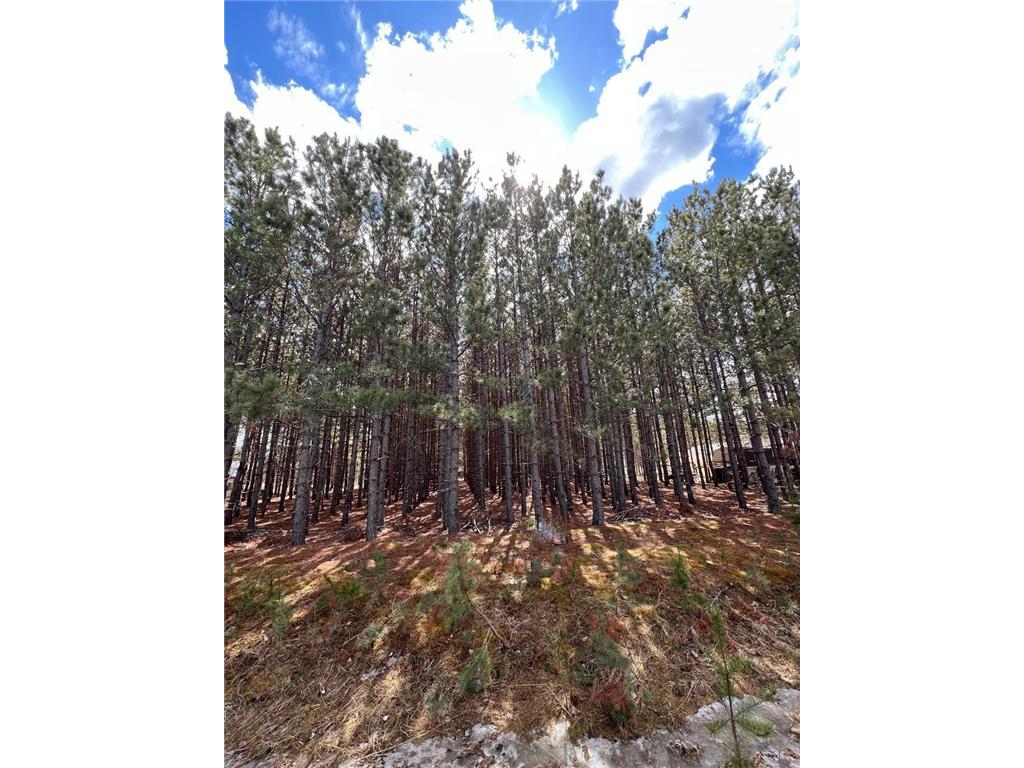 TBD Zelda Court NW Bemidji MN 56601 6516507 image1