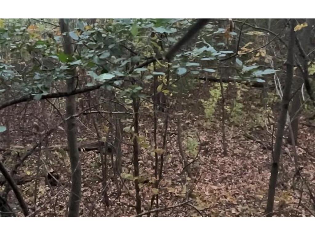 TBD minimum maintenance Pine City Twp MN 55063 6805062 image1