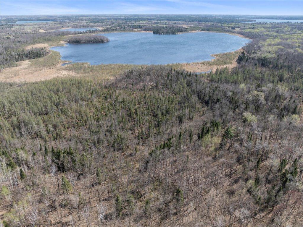 TBD xxx Lake Emma Twp MN 56470 - Rice 6720148 image1