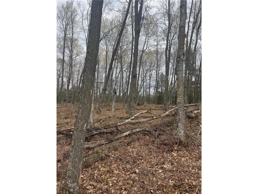 TBD1.6 CRANE LN Round Lake Twp WI 54843 - Tiger Cat Flowage 7068547 image10