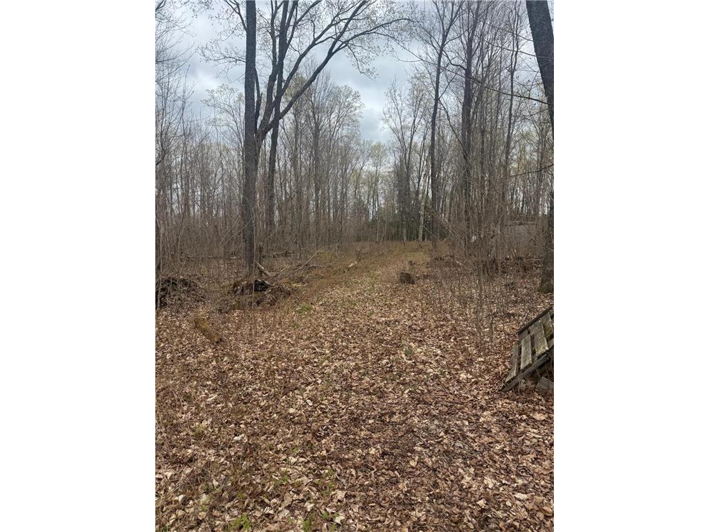 TBD1.6 CRANE LN Round Lake Twp WI 54843 - Tiger Cat Flowage 7068547 image11