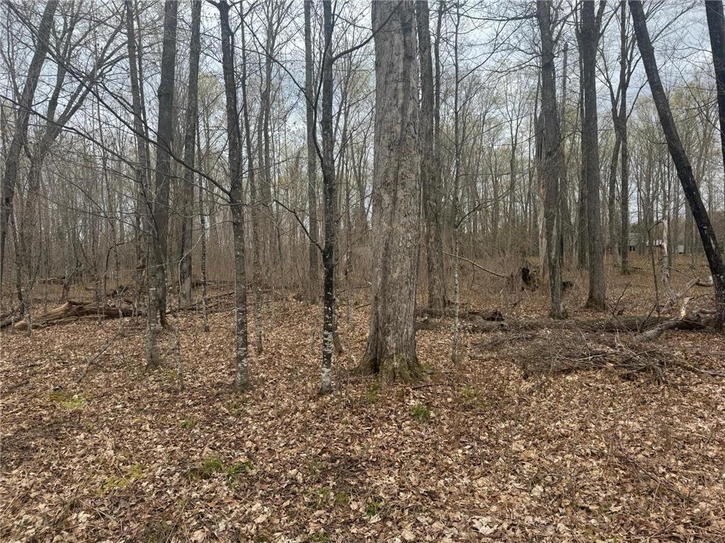 TBD1.6 CRANE LN Round Lake Twp WI 54843 - Tiger Cat Flowage 7068547 image12