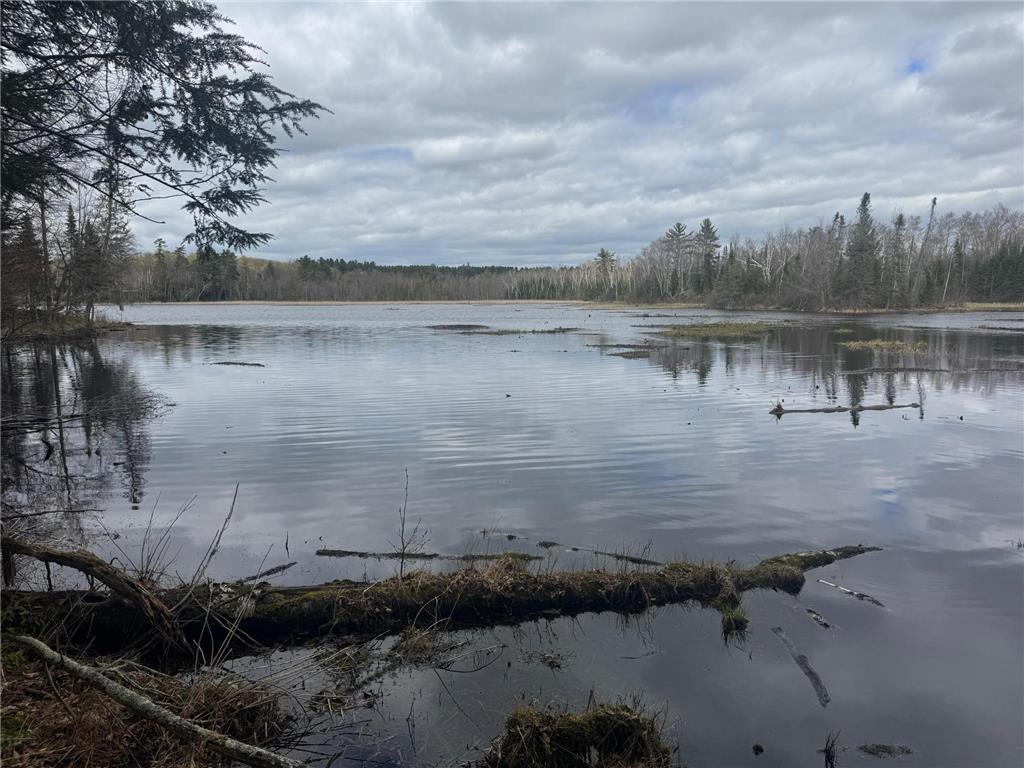 TBD1.6 CRANE LN Round Lake Twp WI 54843 - Tiger Cat Flowage 7068547 image3