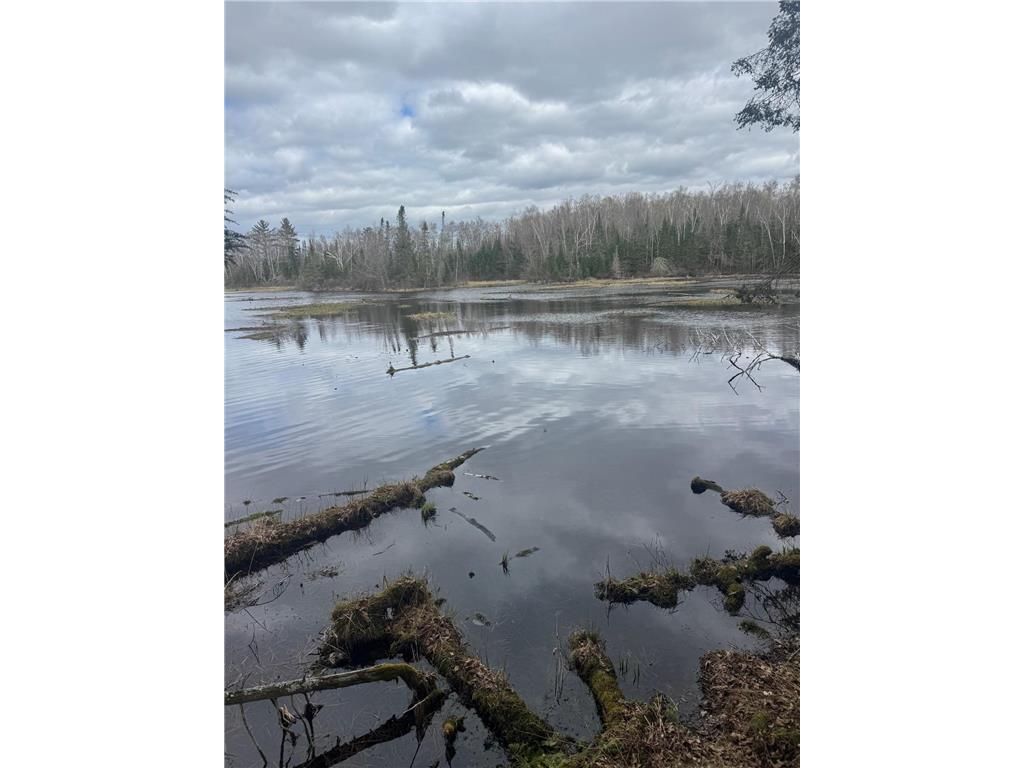 TBD1.6 CRANE LN Round Lake Twp WI 54843 - Tiger Cat Flowage 7068547 image5