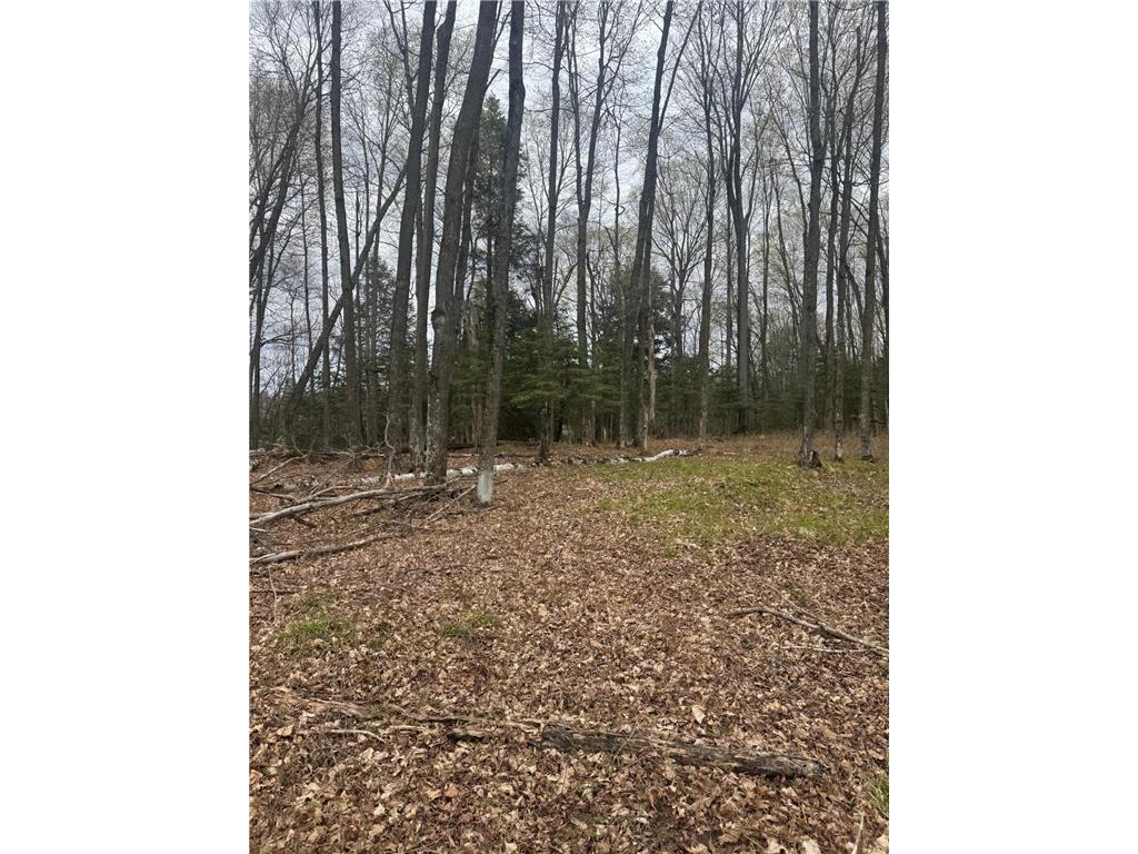TBD1.6 CRANE LN Round Lake Twp WI 54843 - Tiger Cat Flowage 7068547 image7