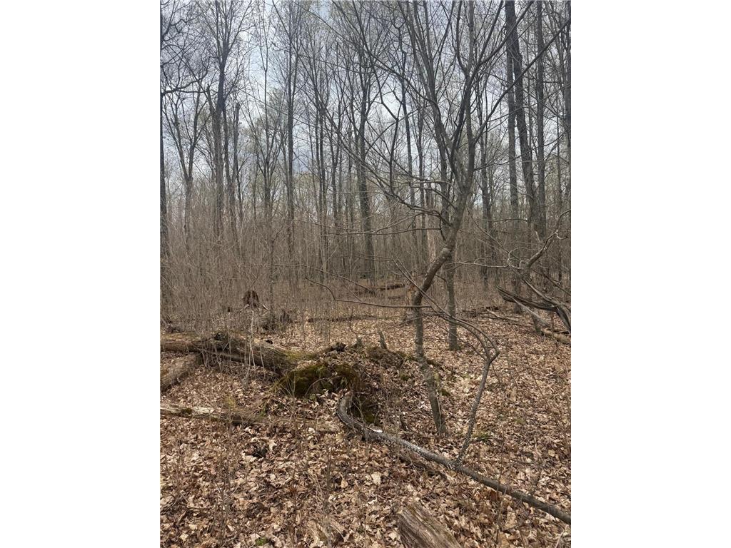 TBD1.6 CRANE LN Round Lake Twp WI 54843 - Tiger Cat Flowage 7068547 image8
