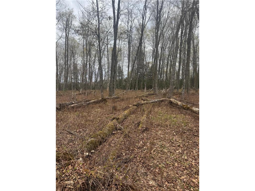 TBD1.6 CRANE LN Round Lake Twp WI 54843 - Tiger Cat Flowage 7068547 image9