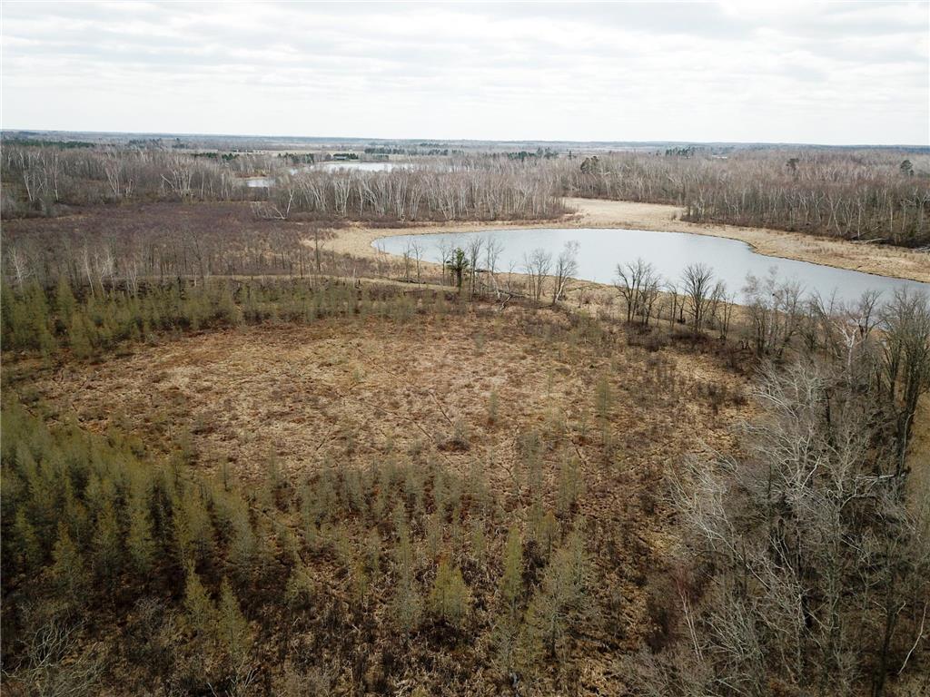 TBD1 Boot Lake Road SW Grant Valley Twp MN 56601 7071432 image10