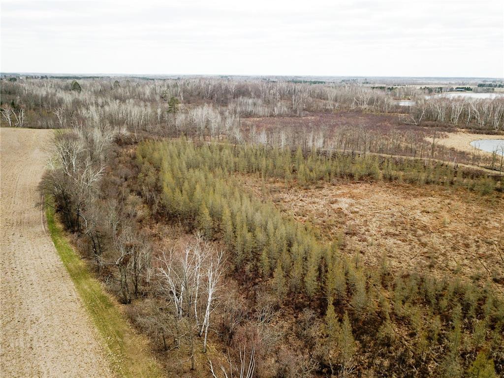 TBD1 Boot Lake Road SW Grant Valley Twp MN 56601 7071432 image11