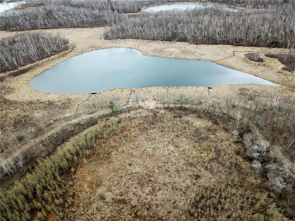 TBD1 Boot Lake Road SW Grant Valley Twp MN 56601 7071432 image14