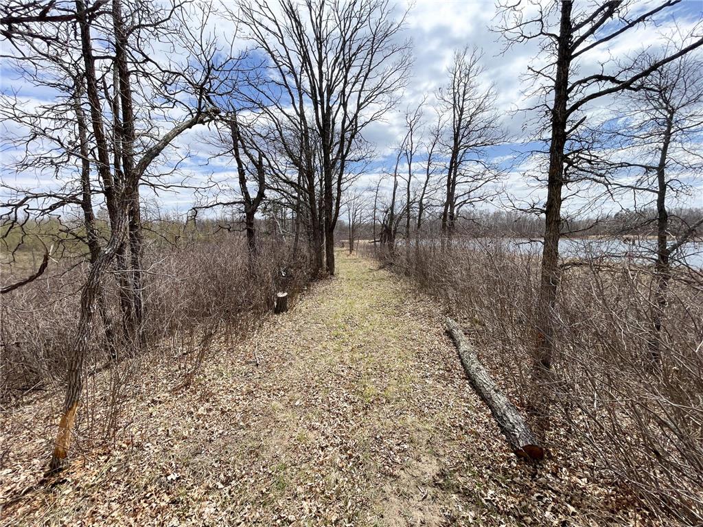 TBD1 Boot Lake Road SW Grant Valley Twp MN 56601 7071432 image18